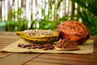Cacao Ceremony with Conscious Breathwork